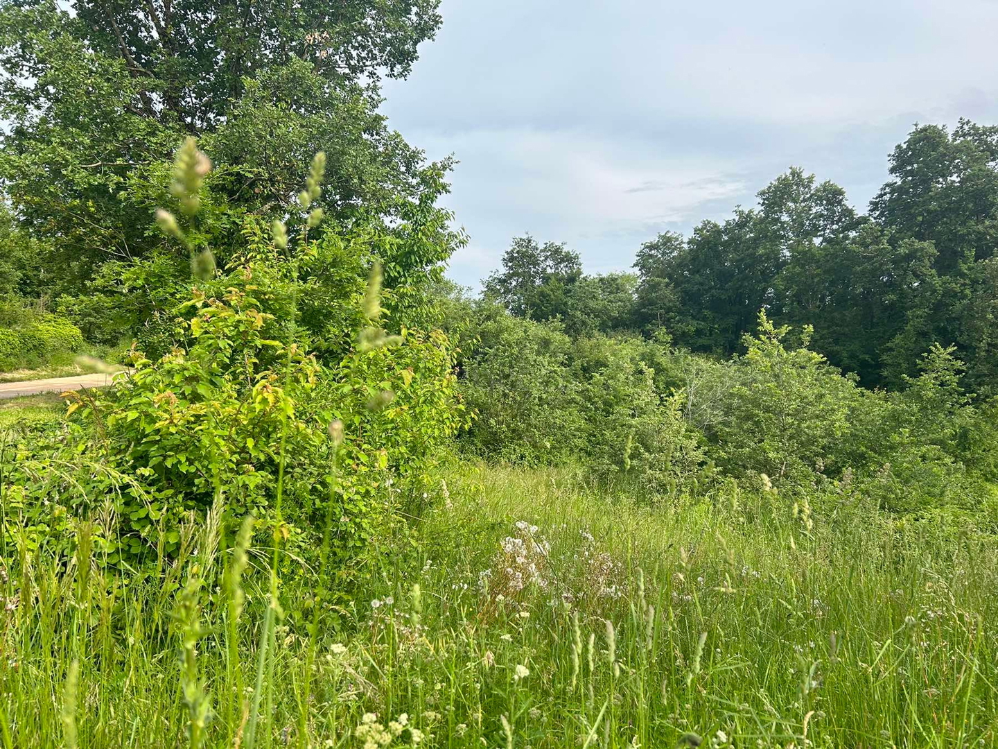 Land For sale -  Trviž