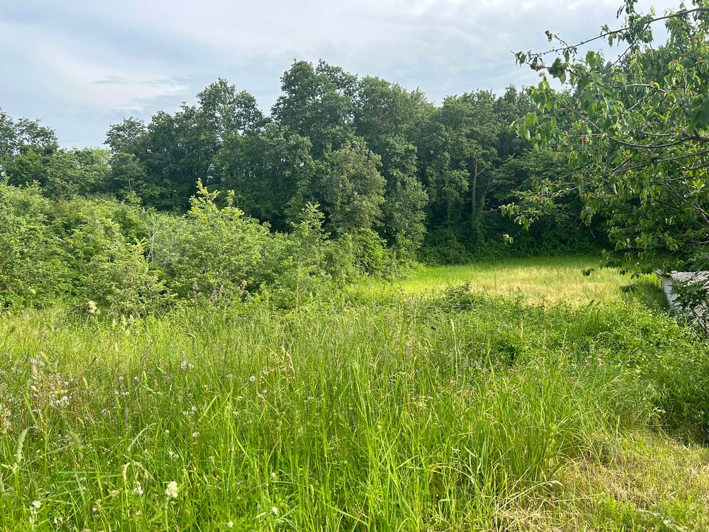 Land For sale -  Trviž