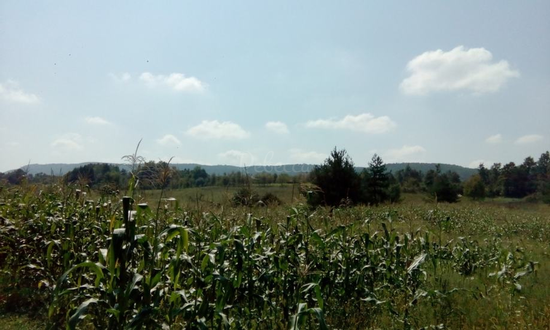 Terrain À vendre - Istarska Ližnjan - foto 1/1
