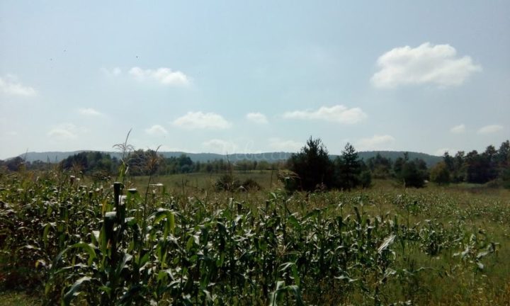 Zemljište na prodaju 1000 m² – Ližnjan