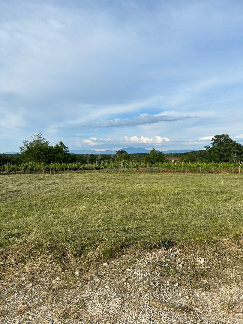 Parcela Na predaj - Istarska žminj - foto 1/1