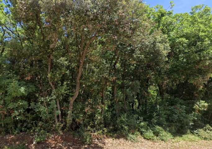 Pozemok na predaj 4244 m² – Bale