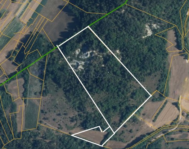 Grundstück zu verkaufen 25411 m² – Pazin