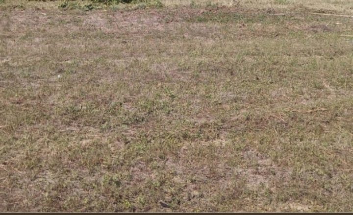 Parcela na predaj 800 m² – Valbandon