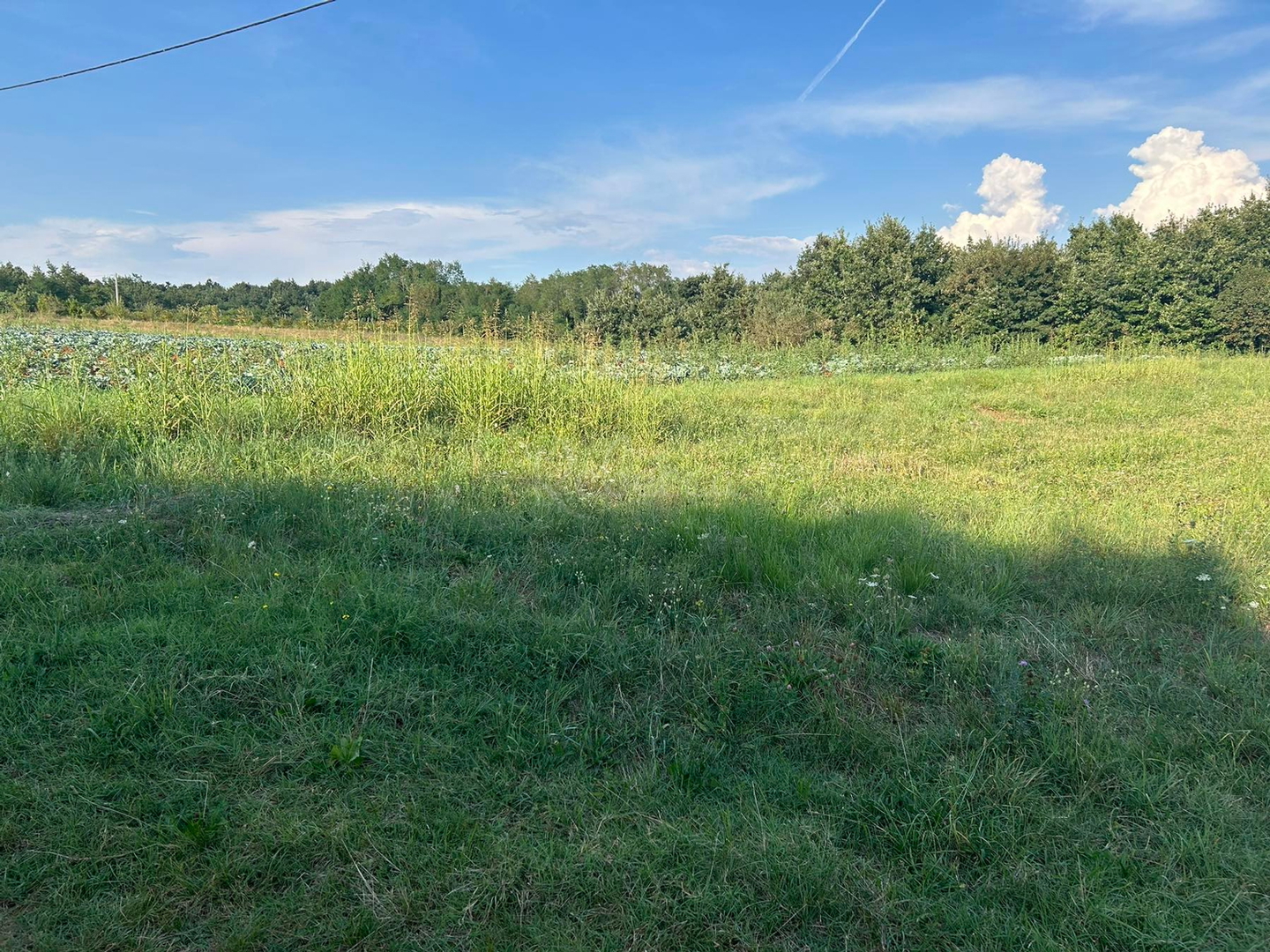 Działka Na sprzedaż - Istarska Pazin - foto 3/6