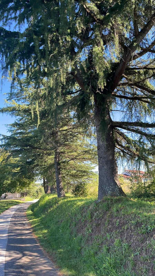 Parcela Na predaj -  Novaki Pazinski