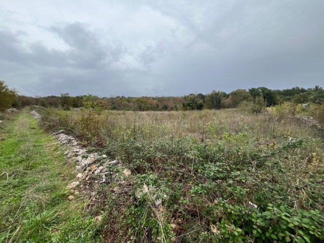 Terreno In vendita - Istarska Filipana - foto 4/4
