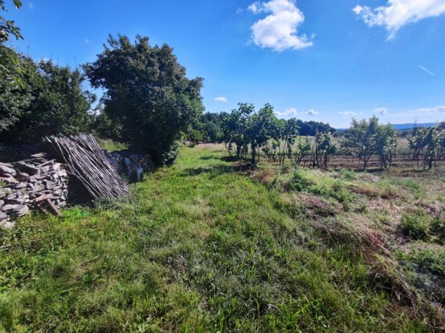 Pozemok Na predaj - Istarska šajini - foto 2/12