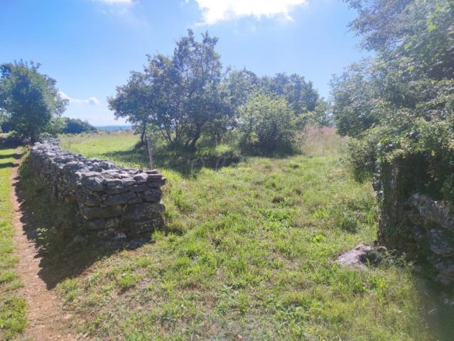 Pozemok Na predaj - Istarska šajini - foto 3/12