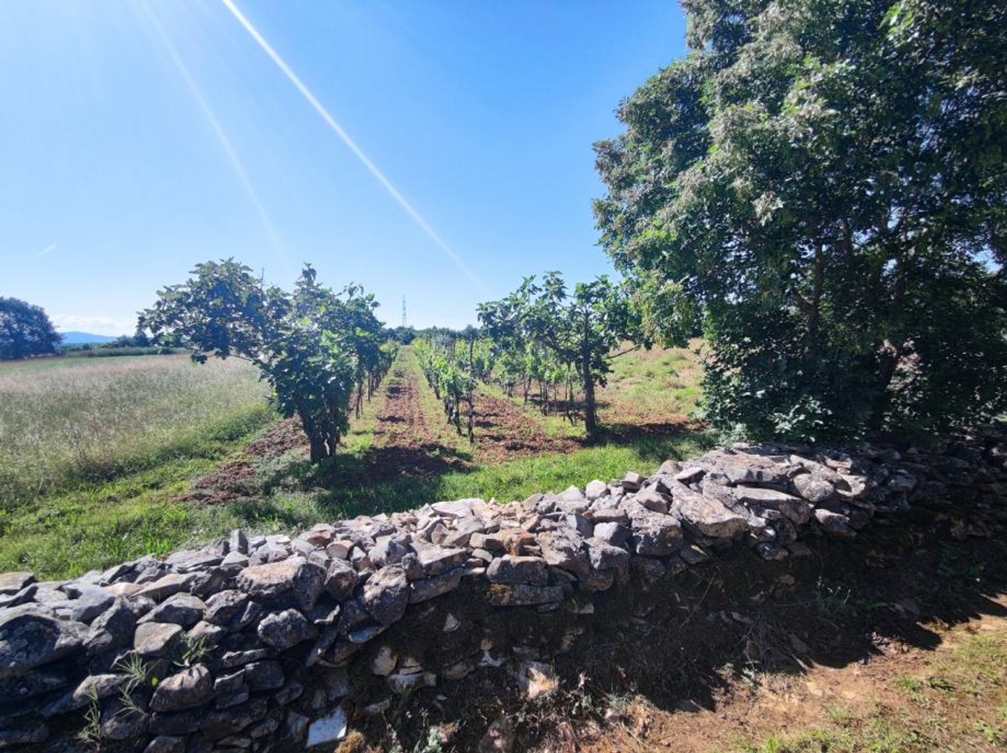 Land For sale Barban