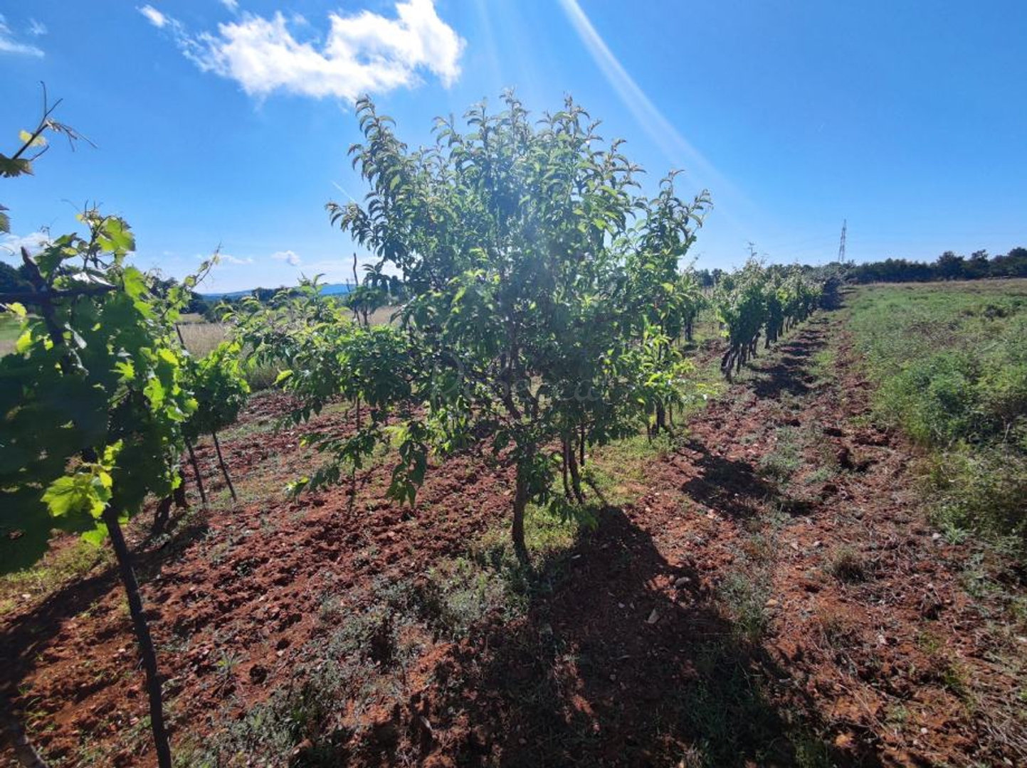 Land For sale -  Šajini