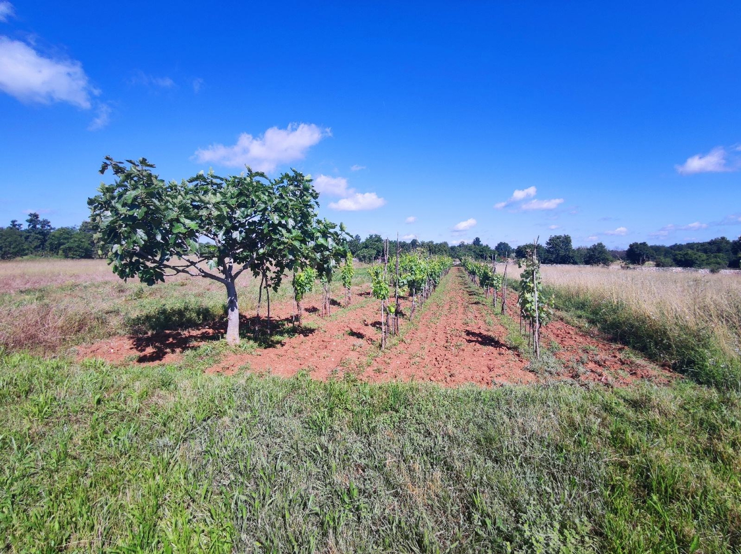 Land For sale -  Šajini