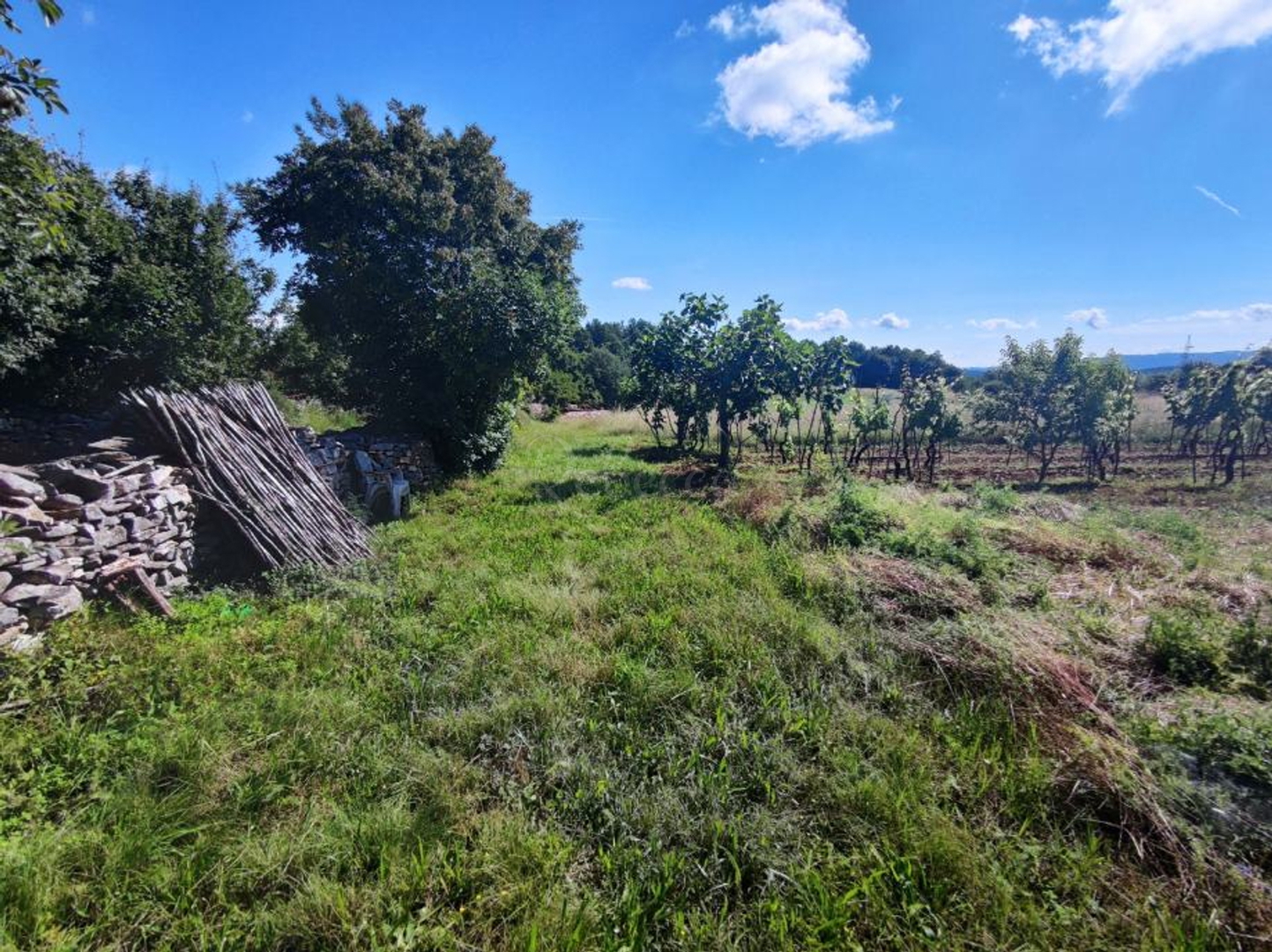 Land For sale -  Šajini
