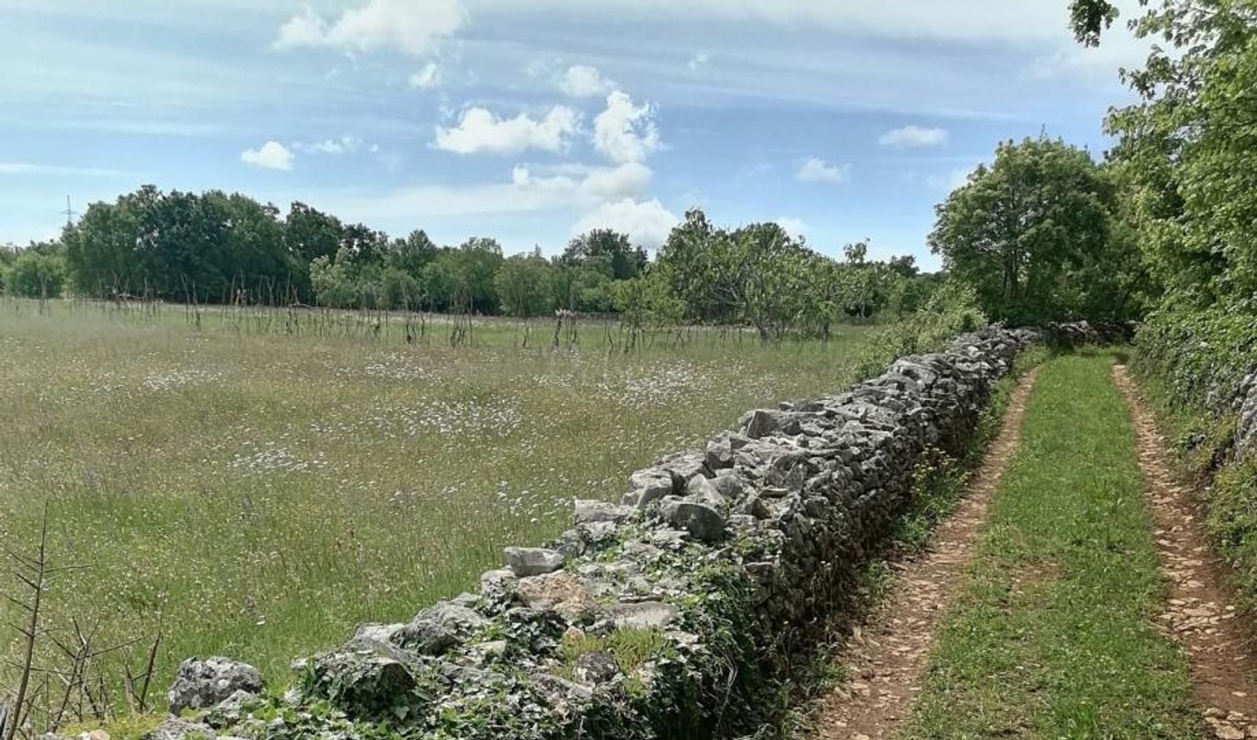 Land For sale -  Šajini