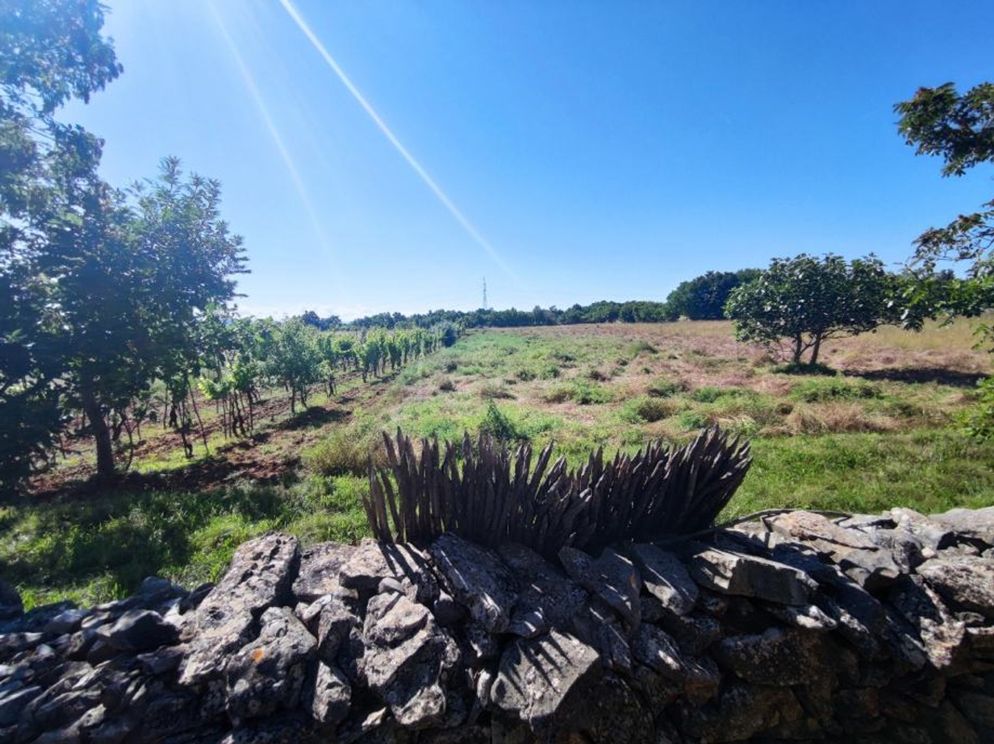 Land For sale -  Šajini