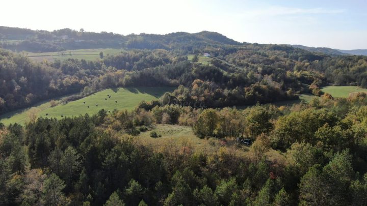 Parcela Naprodaj - Istarska Novaki Pazinski - foto 3/11