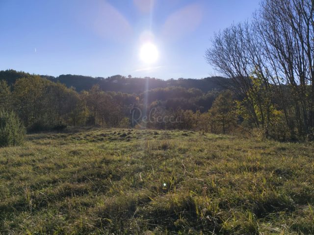 Parcela Naprodaj - Istarska Novaki Pazinski - foto 4/11