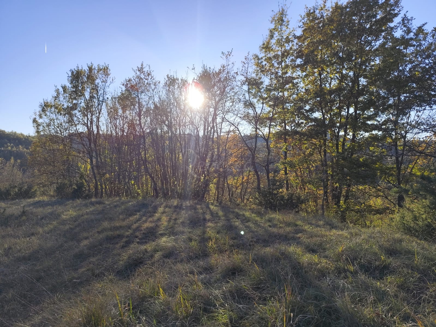 Parcela Na predaj -  Novaki Pazinski