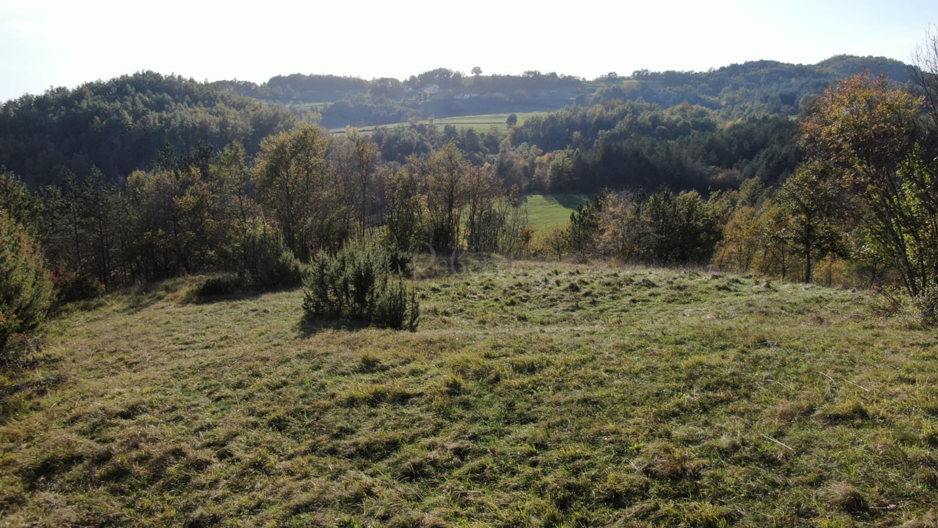 Parcela Na predaj -  Novaki Pazinski