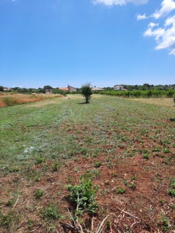 Terreno In vendita - Istarska Muntić - foto 2/2