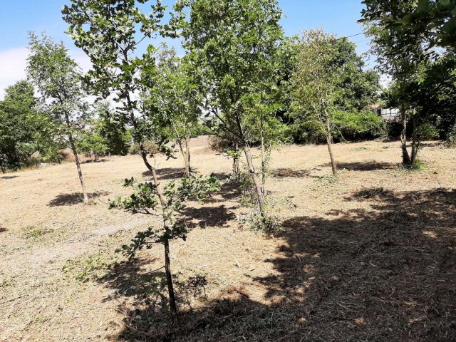 Pozemok na predaj 1830 m² – Svetvinčenat