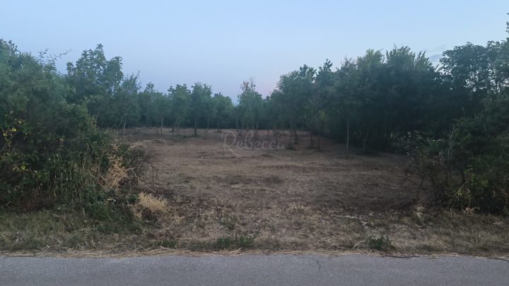 Land For sale - Istarska čabrunići - foto 2/3
