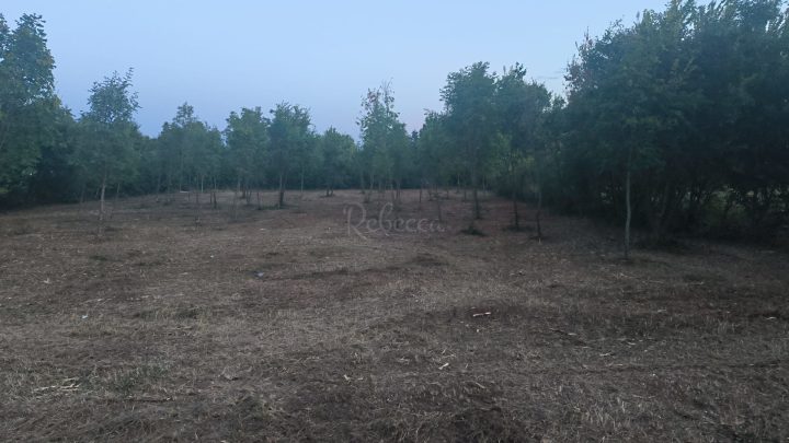 Land For sale - Istarska čabrunići - foto 3/3