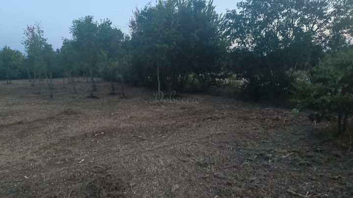 Parcela Naprodaj - Istarska čabrunići - foto 4/4