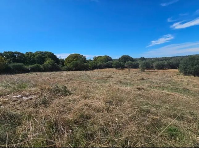 Parcela na predaj 500 m² – Pula
