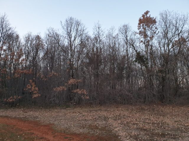 Zemljište Na prodaju - Istarska želiski - foto 2/2