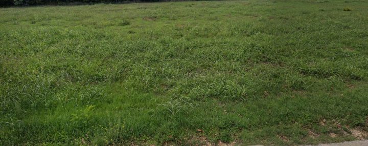 Terreno in vendita 1500 m² – Loborika