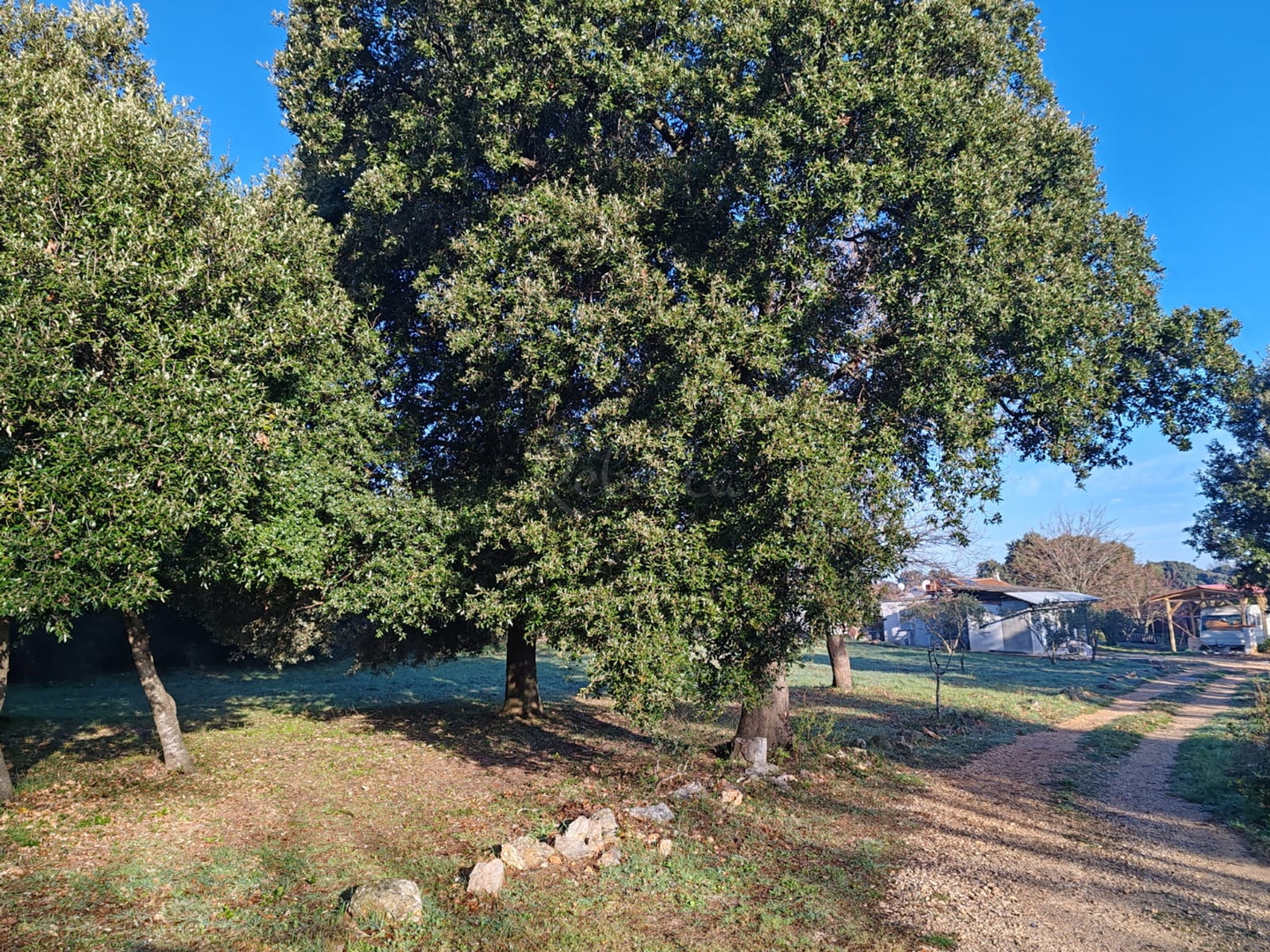 Terrain À vendre - Istarska Ližnjan - foto 4/4