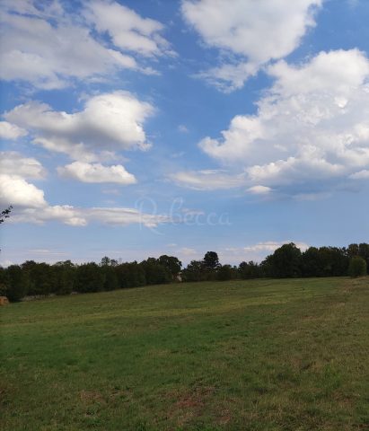 Terreno in vendita 9970 m² – Filipana