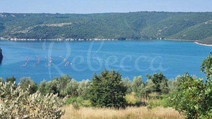 Komerčné na predaj 100 m² – Raša