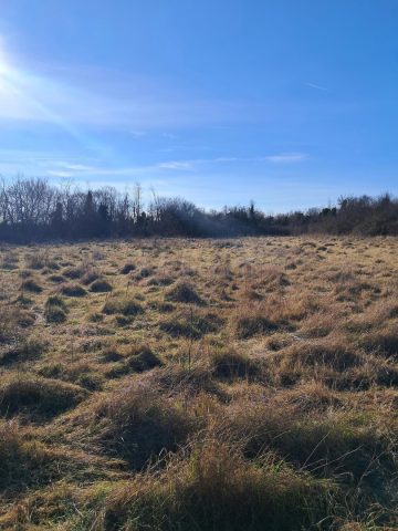 Terrain à vendre 6625 m² – Vodnjan