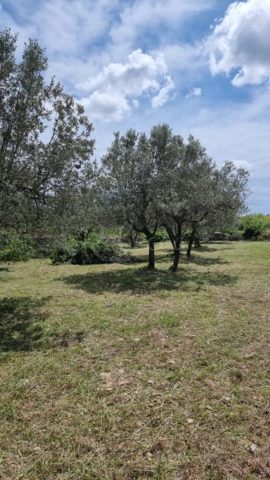 Terrain à vendre 650 m² – Vodnjan
