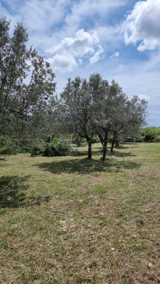 Zemljište Na prodaju - Istarska Galižana - foto 1/2
