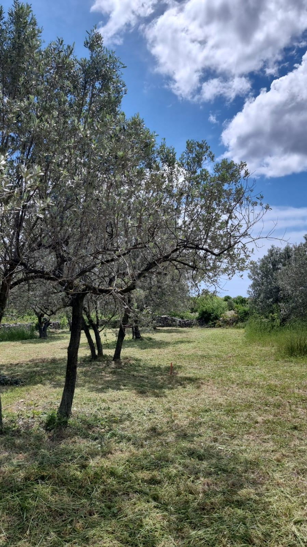 Zemljište Na prodaju - Istarska Galižana - foto 2/2