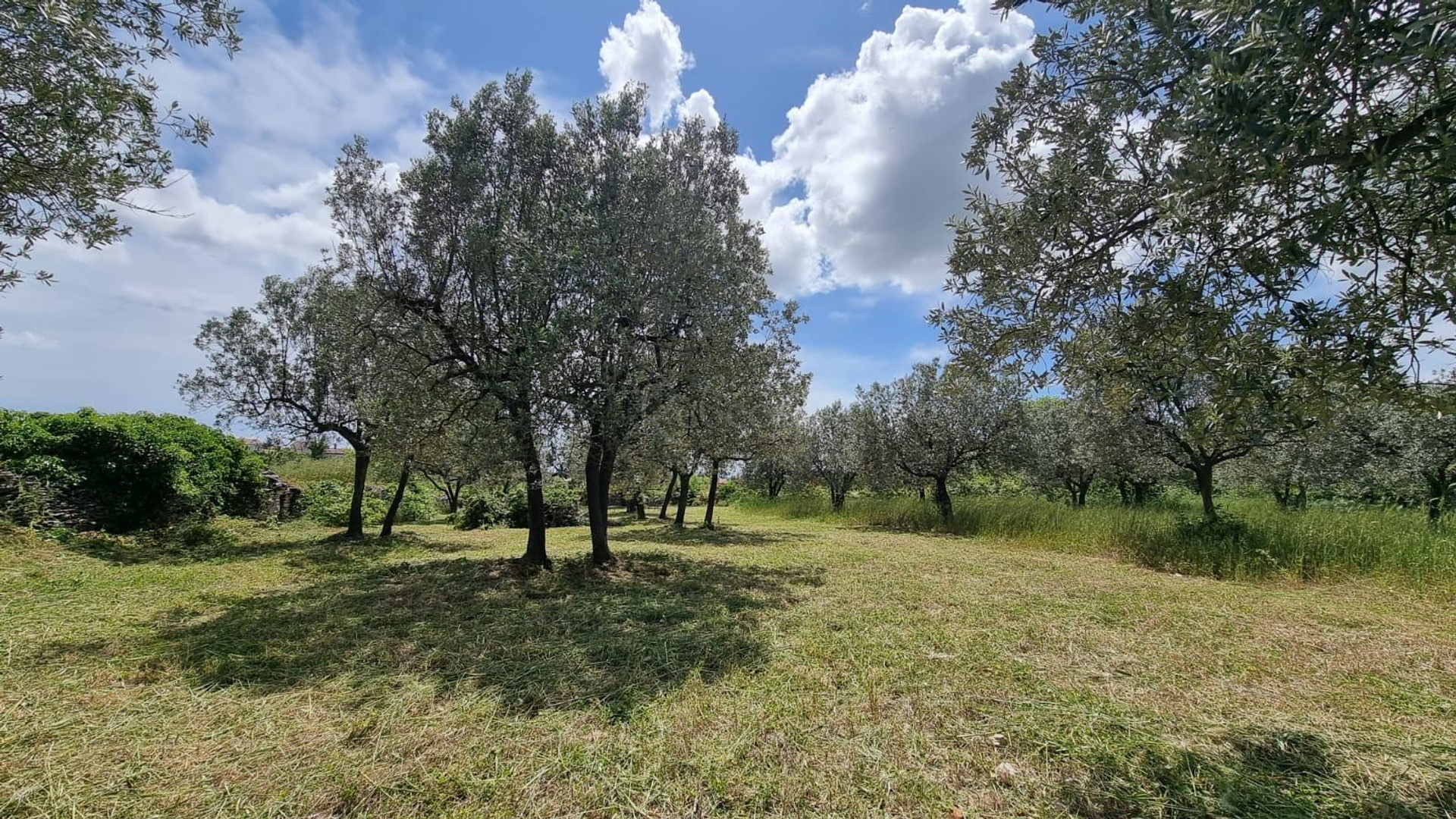 Parcela Naprodaj - Istarska Galižana