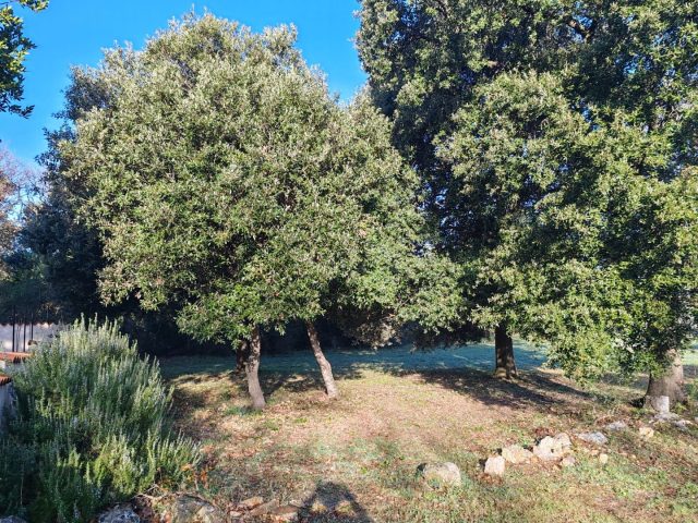 Terreno In vendita - Istarska Ližnjan - foto 5/5