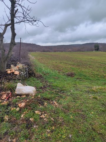 Parcela Naprodaj - Istarska Golaš - foto 3/12
