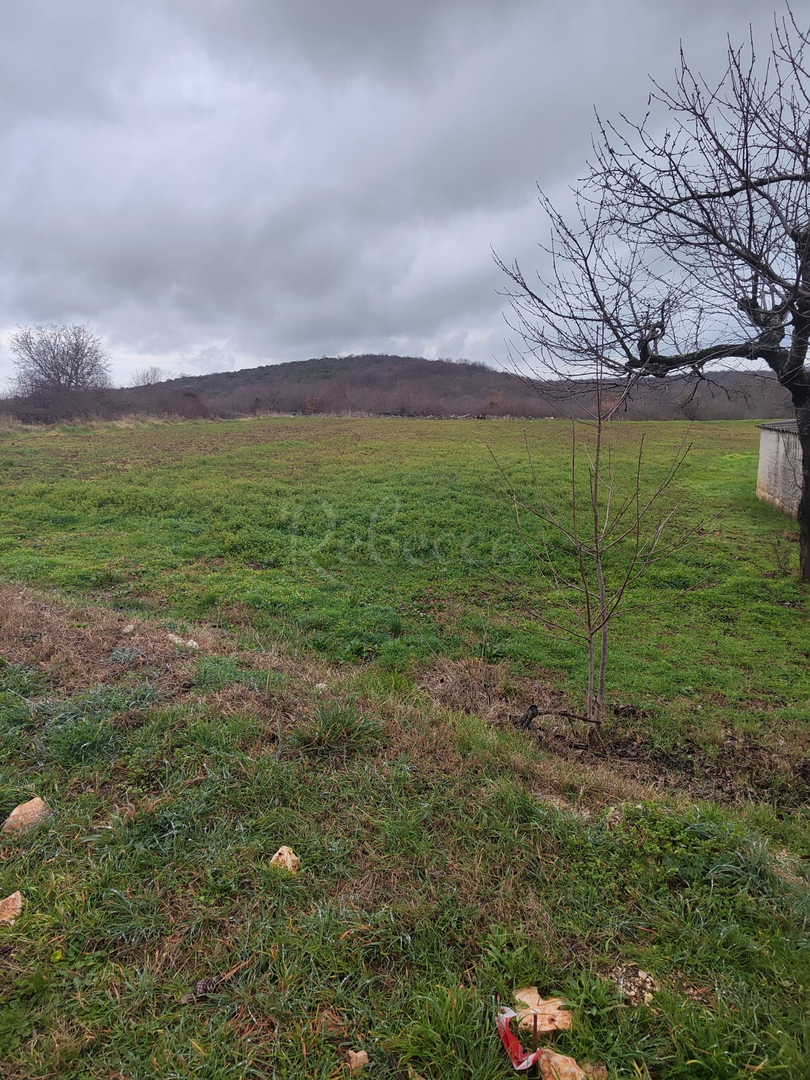 Terreno In vendita -  Golaš
