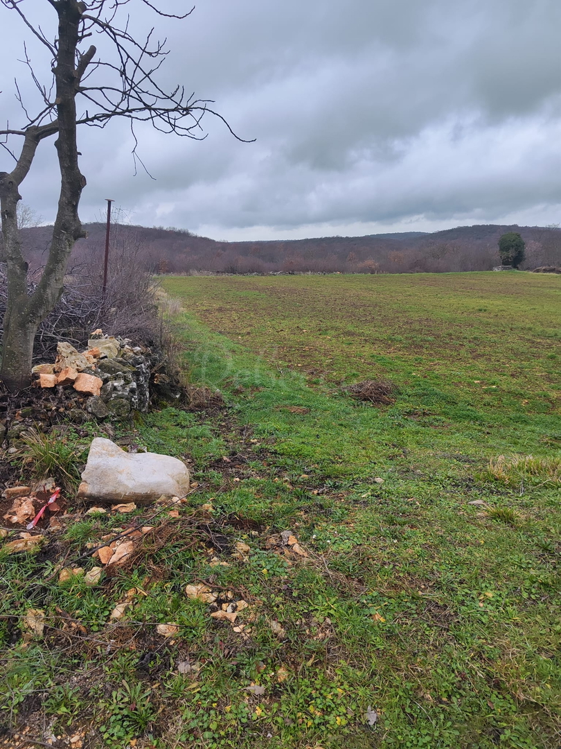 Terreno In vendita -  Golaš