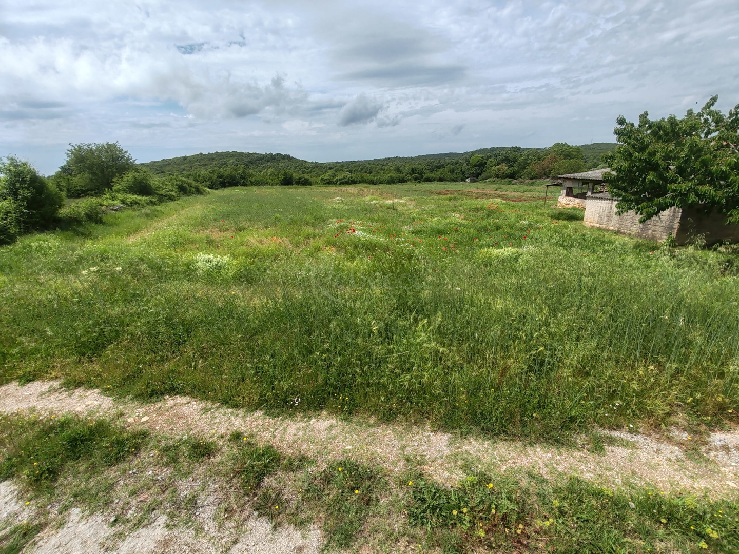 Terreno In vendita -  Golaš