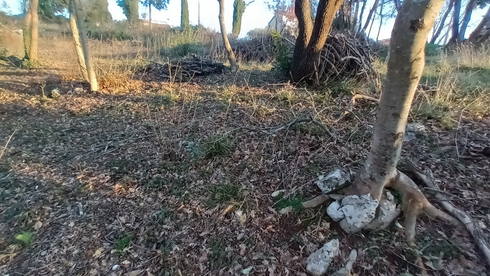 Pozemek Na prodej -  Šegotići