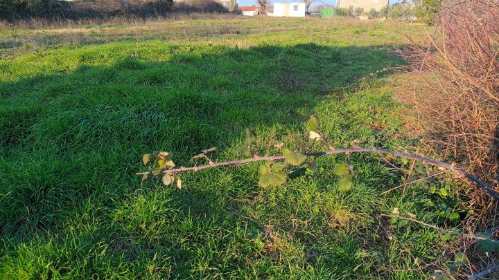 Parcela na predaj 1064 m² – Mutvoran