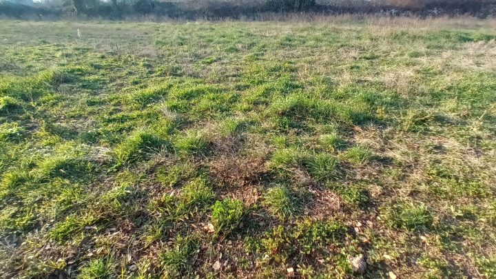 Parcela Naprodaj - Istarska Mutvoran - foto 3/3