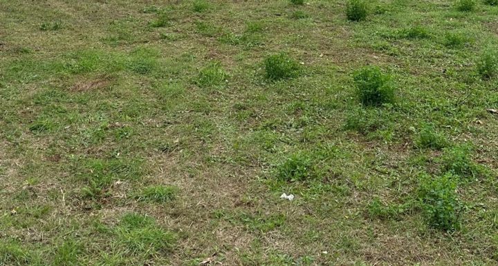 Terrain à vendre 620 m² – Vodnjan