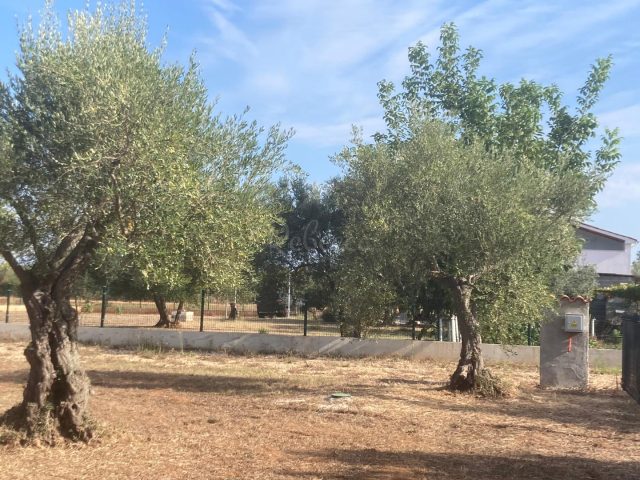 Pozemok na predaj 740 m² – Fažana