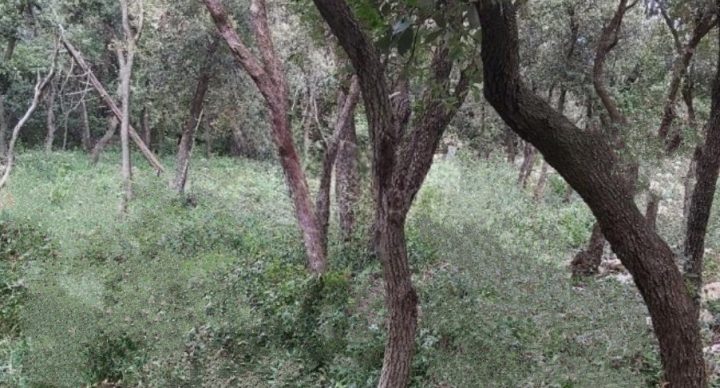 Terreno in vendita – Kavran